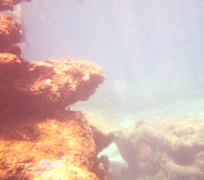Pipeline reef
